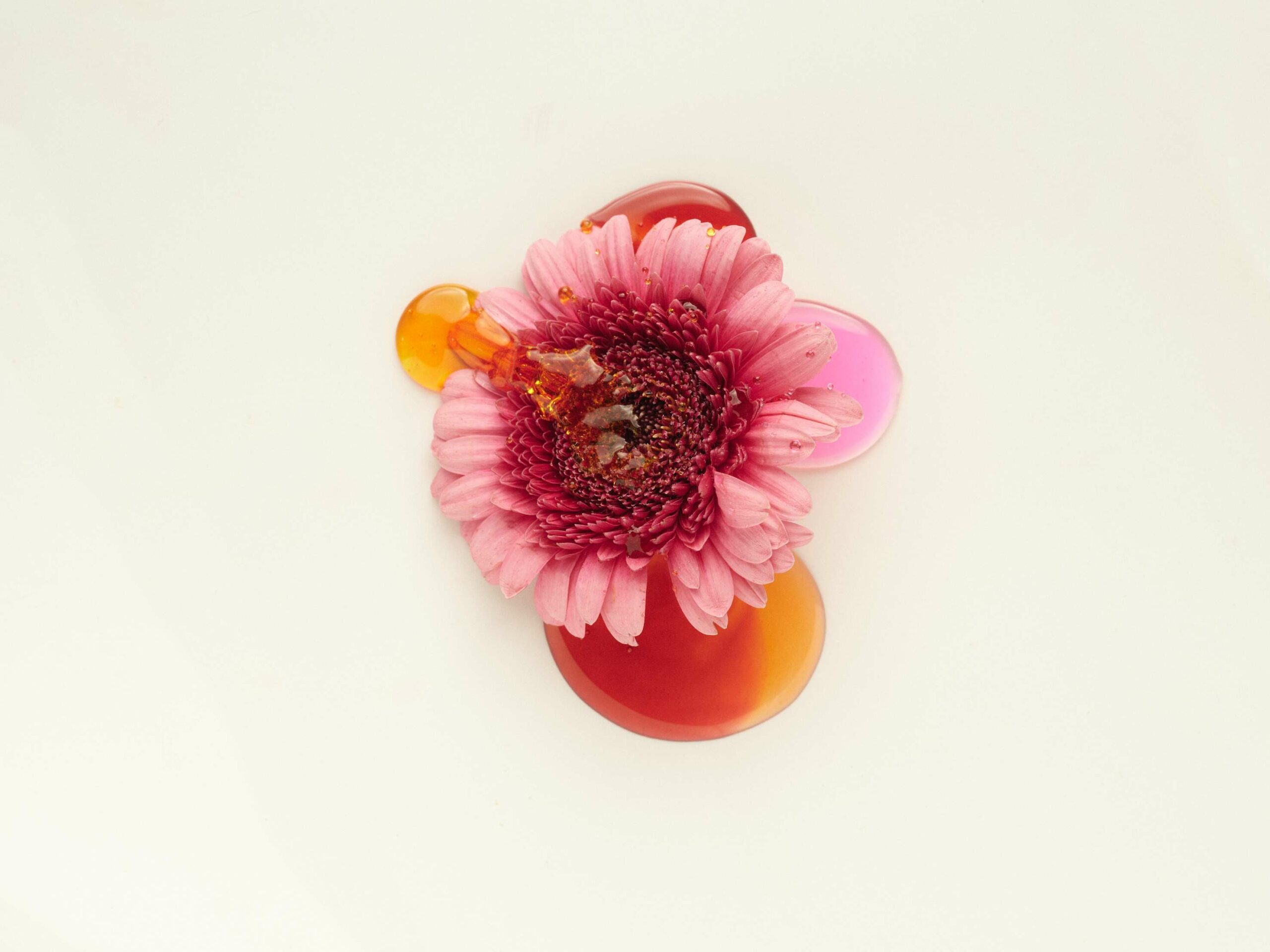 YOHANNES COUSY presents FLOWER with Clément Moussière and LE DUO SET DESIGN | TALENT MANAGEMENT - Set Design